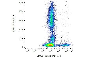 Flow cytometry analysis (surface staining) of CD79b in human peripheral blood with anti-CD79b (CB3-1) purified / GAM-APC. (CD79b antibody)