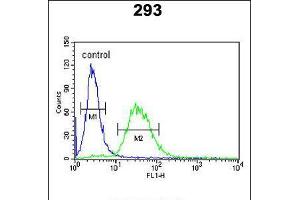 Flow cytometric analysis of 293 cells (right histogram) compared to a negative control cell (left histogram). (Coagulation Factor X antibody  (C-Term))