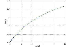 CD33 (CD33) ELISA Kit