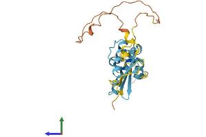 Protein Structure (PS) image for DnaJ (Hsp40) Homolog, Subfamily B, Member 8 (DNAJB8) (AA 1-232) protein (His tag) (ABIN7547171)