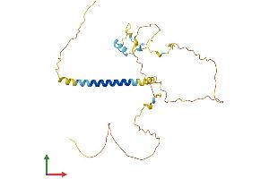 Protein Structure (PS) image for Prostate Transmembrane Protein, Androgen Induced 1 (PMEPA1) (AA 1-287) protein (His tag) (ABIN7555043)