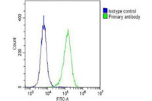 Overlay histogram showing Hela cells stained with Antibody (green line). (DEPDC5 antibody  (C-Term))