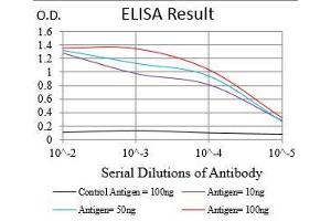 Black line: Control Antigen (100 ng), Purple line: Antigen(10 ng), Blue line: Antigen (50 ng), Red line: Antigen (100 ng), (PER3 antibody  (AA 723-954))