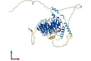 AlphaFold protein structure predicition of Human Recombinant DCAF8L1 Protein, UniprotID A6NGE4 (DCAF8L1 Protein (AA 1-600) (His tag))