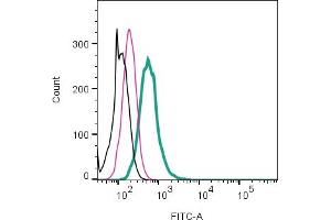 Cell surface detection of CCR2 by direct flow cytometry in live intact human  monocytic leukemia cell line: + Rabbit IgG isotype control-FITC ((ABIN7582044).