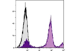 BALB/c mouse bone marrow cells were stained with Rat Anti-Mouse Ly-6C-PE. (Ly6C antibody)