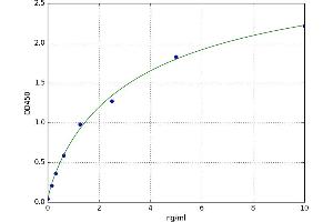 Leukocyte Immunoglobulin-Like Receptor, Subfamily B (With TM and ITIM Domains), Member 2 (LILRB2) ELISA Kit