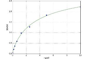 A typical standard curve (LILRB2 ELISA Kit)