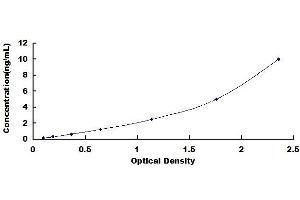 Typical standard curve (Keratin 2 ELISA Kit)