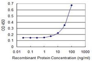 Detection limit for recombinant GST tagged ZNF8 is 3 ng/ml as a capture antibody. (ZNF8 antibody  (AA 82-180))