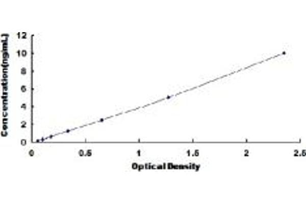 IGFBPI ELISA Kit