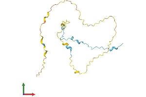 AlphaFold protein structure predicition of Human Recombinant COPRS Protein, UniprotID Q9NQ92 (COPRS Protein (AA 1-184) (His tag))