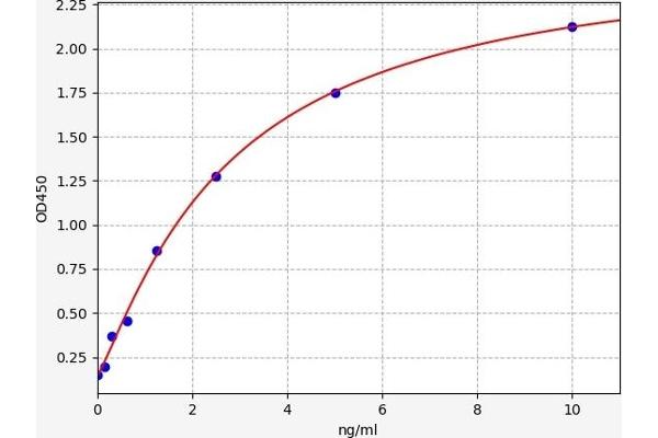 TGFBR2 ELISA Kit