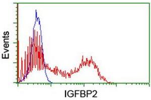 Flow Cytometry (FACS) image for anti-Insulin-Like Growth Factor Binding Protein 2, 36kDa (IGFBP2) antibody (ABIN1498827) (IGFBP2 antibody)