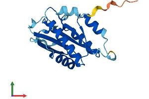 AlphaFold protein structure predicition of Mouse Recombinant Cenpm Protein, UniprotID Q9CQA0 (CENPM Protein (AA 1-180) (His tag))