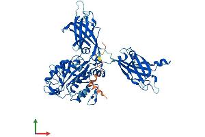 AlphaFold protein structure predicition of Human Recombinant CPNE2 Protein, UniprotID Q96FN4 (Copine II Protein (CPNE2) (AA 1-548) (His tag))