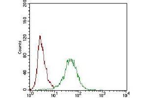 Flow cytometric analysis of Hela cells using CD22 mouse mAb (green) and negative control (red). (CD22 antibody  (AA 621-725))