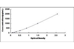 Typical standard curve (FAS ELISA Kit)