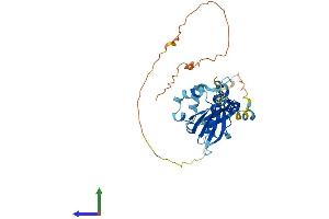 AlphaFold protein structure predicition of Human Recombinant BNIP2 Protein, UniprotID Q12982