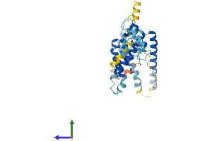 Protein Structure (PS) image for Peroxisomal Biogenesis Factor 2 (PEX2) (AA 1-305) protein (His tag) (ABIN7556461)