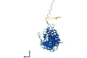Protein Structure (PS) image for Chaperonin Containing TCP1, Subunit 3 (Gamma) (CCT3) (AA 1-545) protein (His tag) (ABIN7556741)
