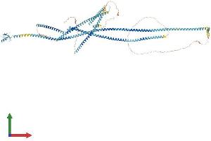 AlphaFold protein structure predicition of Human Recombinant RNF40 Protein, UniprotID O75150 (RNF40 Protein (AA 1-1001) (His tag))
