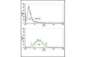 Flow cytometric analysis of ZR-75-1 cells (bottom histogram) compared to a negative control cell (top histogram). (G-CSF antibody  (AA 252-280))