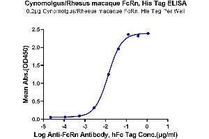 ELISA image for neonatal Fc Receptor (FcRn) (AA 24-297) protein (His tag) (ABIN7274675)