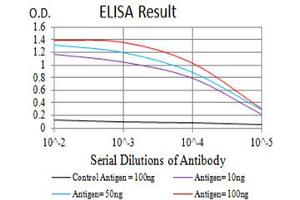 Black line: Control Antigen (100 ng),Purple line: Antigen (10 ng), Blue line: Antigen (50 ng), Red line:Antigen (100 ng) (P2RY4 antibody)