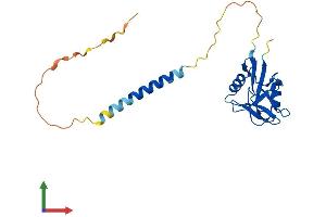 AlphaFold protein structure predicition of Mouse Recombinant Klrb1f Protein, UniprotID Q8VD98