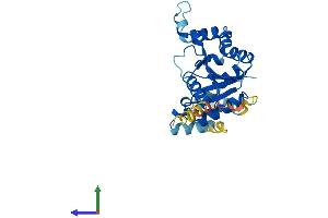 AlphaFold protein structure predicition of Mouse Recombinant Gpn3 Protein, UniprotID Q9D3W4 (GPN3 Protein (AA 1-284) (His tag))