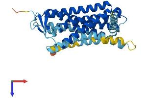 AlphaFold protein structure predicition of Human Recombinant OR5B17 Protein, UniprotID Q8NGF7 (OR5B17 Protein (AA 1-314) (His tag))