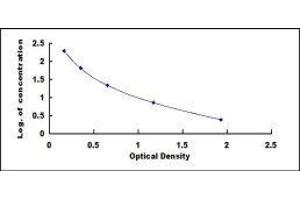 Follistatin (FST) ELISA Kit