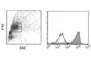 Flow Cytometry (FACS) image for anti-CD9 (CD9) antibody (ABIN1449168) (CD9 antibody)