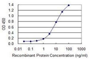 Detection limit for recombinant GST tagged DLX6 is 0. (DLX6 antibody  (AA 71-160))
