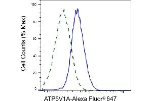 Validation of ATP6V1A knockdown using flow cytometry.