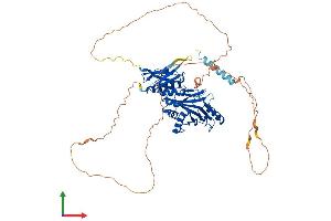 AlphaFold protein structure predicition of Human Recombinant SYN3 Protein, UniprotID O14994 (Synapsin III Protein (SYN3) (AA 1-580) (His tag))