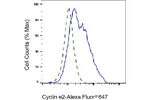 Validation of Cyclin e2 knockdown using flow cytometry.