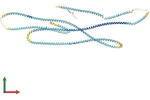 AlphaFold protein structure predicition of Human Recombinant CFAP58 Protein, UniprotID Q5T655 (CCDC147 Protein (AA 1-872) (His tag))