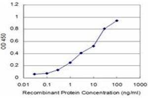 Detection limit for recombinant GST tagged PTX3 is approximately 0. (PTX3 antibody  (AA 282-380))