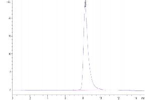 The purity of Biotinylated Mouse GFRAL is greater than 95 % as determined by SEC-HPLC. (GFRAL Protein (AA 20-350) (His-Avi Tag,Biotin))