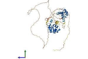 Protein Structure (PS) image for Friend Leukemia Virus Integration 1 (FLI1) (AA 1-452) protein (His tag) (ABIN7563016)