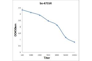 Antigen: 2 µg/100 µL  Primary: Antiserum, 1:500, 1:1000, 1:2000, 1:4000, 1:8000, 1:16000, 1:32000;  Secondary: HRP conjugated Rabbit Anti-Goat IgG at 1: 5000;  TMB staining Read the data in Microplate Reader by 450nm. (CD19 antibody  (AA 151-250))