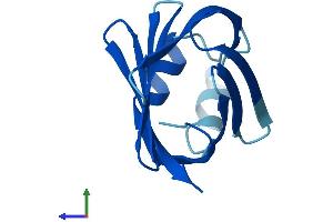 Protein Structure (PS) image for Fatty Acid Binding Protein 1, Liver (FABP1) (AA 1-127) protein (His tag) (ABIN7562851)