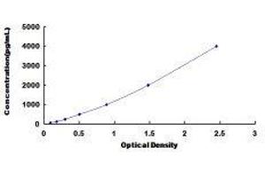 ELISA image for Oxidized Low Density Lipoprotein (Lectin-Like) Receptor 1 (OLR1) ELISA Kit (ABIN431424)