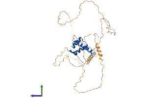 AlphaFold protein structure predicition of Human Recombinant HOXA13 Protein, UniprotID P31271