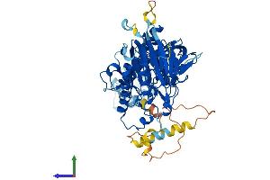 AlphaFold protein structure predicition of Mouse Recombinant Pola2 Protein, UniprotID P33611