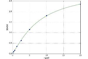 SMAD, Mothers Against DPP Homolog 7 (SMAD7) ELISA Kit