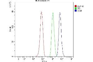 Flow Cytometry analysis of HepG2 cells using anti-DDX6 antibody (ABIN7602044). (DDX6 antibody  (AA 56-483))