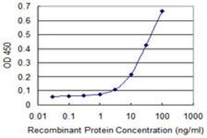 Detection limit for recombinant GST tagged PYGM is 1 ng/ml as a capture antibody. (PYGM antibody  (AA 734-842))